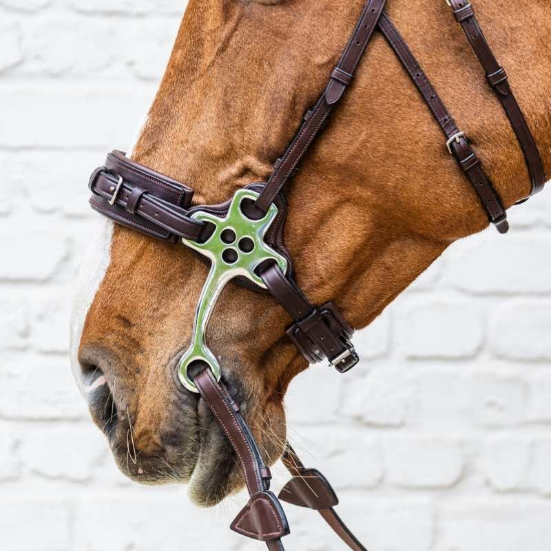 Hackamore New English Collection Braun