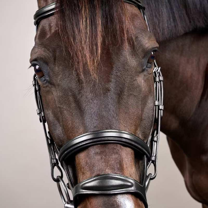 Trense mit Doppelter Nasenriemen New English Collection Schwarz