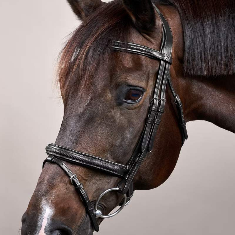 Trense Kombiniertes Reithalfter Plaited New English Collection Schwarz