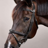 Trense Kombiniertes Reithalfter Plaited New English Collection Schwarz Trense Kombiniertes Reithalfter Plaited New English Collection Schwarz