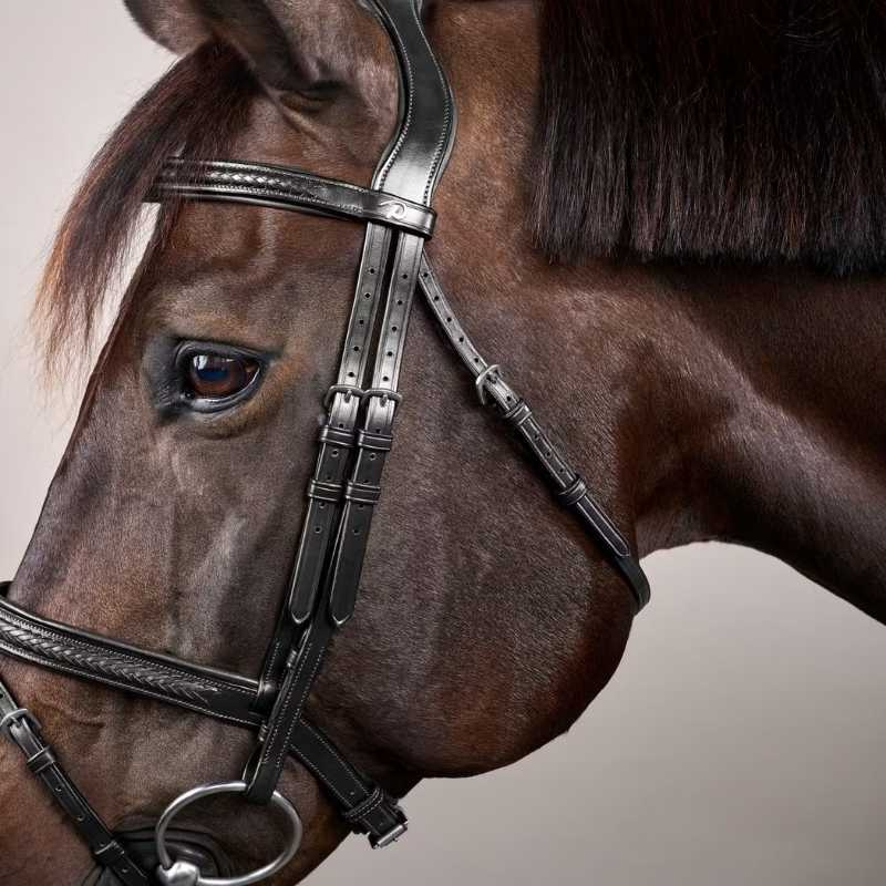 Trense Kombiniertes Reithalfter Plaited New English Collection Schwarz