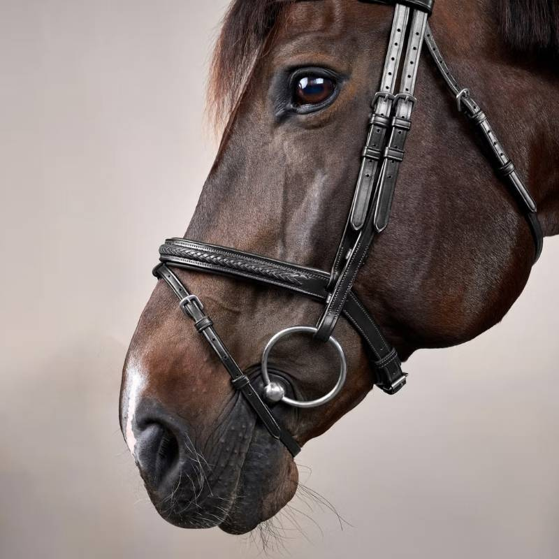 Trense Kombiniertes Reithalfter Plaited New English Collection Schwarz