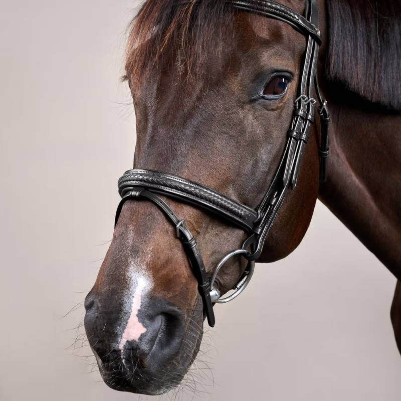 Trense Kombiniertes Reithalfter Plaited New English Collection Schwarz