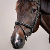 Trense Kombiniertes Reithalfter Plaited New English Collection Schwarz Trense Kombiniertes Reithalfter Plaited New English Collection Schwarz