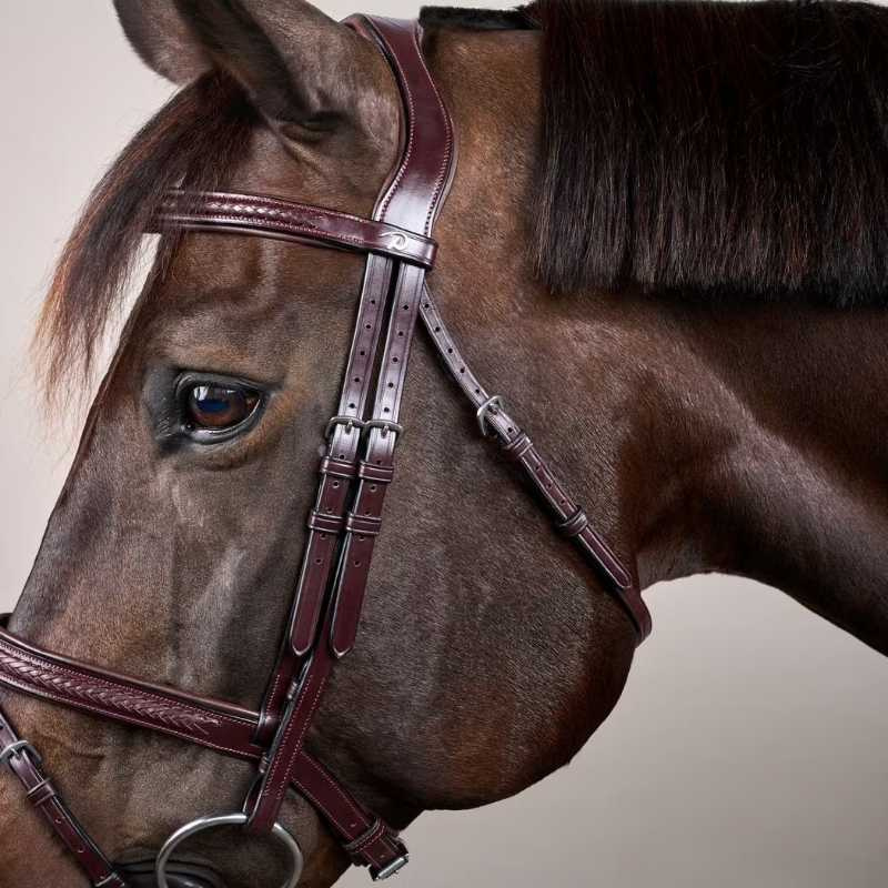 Trense Kombiniertes Reithalfter Plaited New English Collection Braun