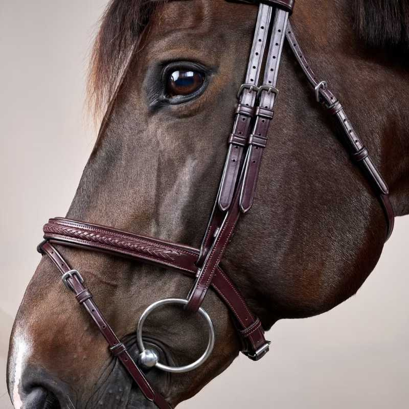 Trense Kombiniertes Reithalfter Plaited New English Collection Braun