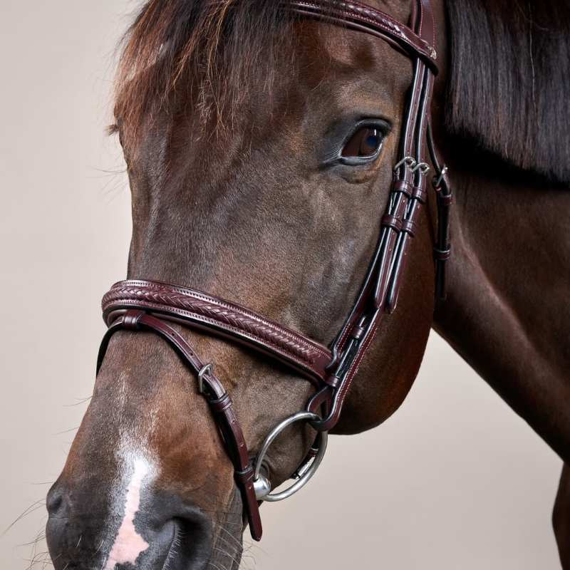 Trense Kombiniertes Reithalfter Plaited New English Collection Braun