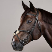 Trense Mexikanisches Reithalfter Plaited New English Collection Schwarz Trense Mexikanisches Reithalfter Plaited New English Collection Schwarz