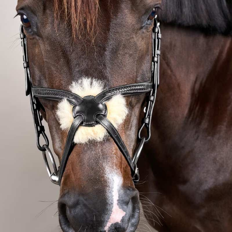 Trense Mexikanisches Reithalfter Plaited New English Collection Schwarz