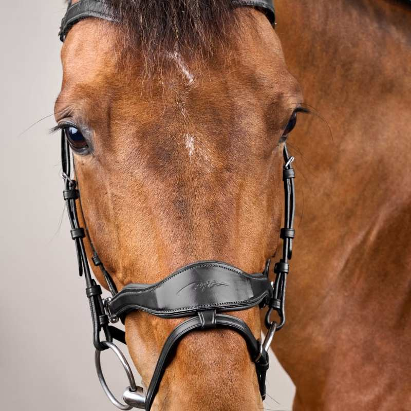 Trense D Motion New English Collection Schwarz