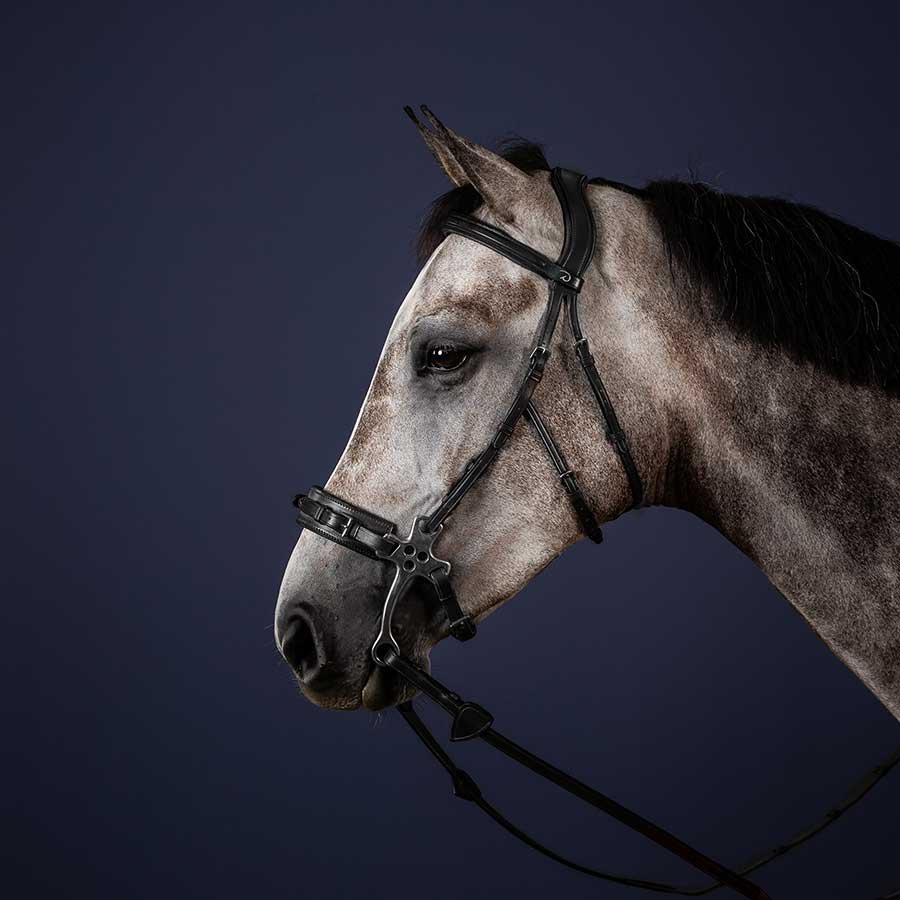 Trense Hackamore NE Schwarz