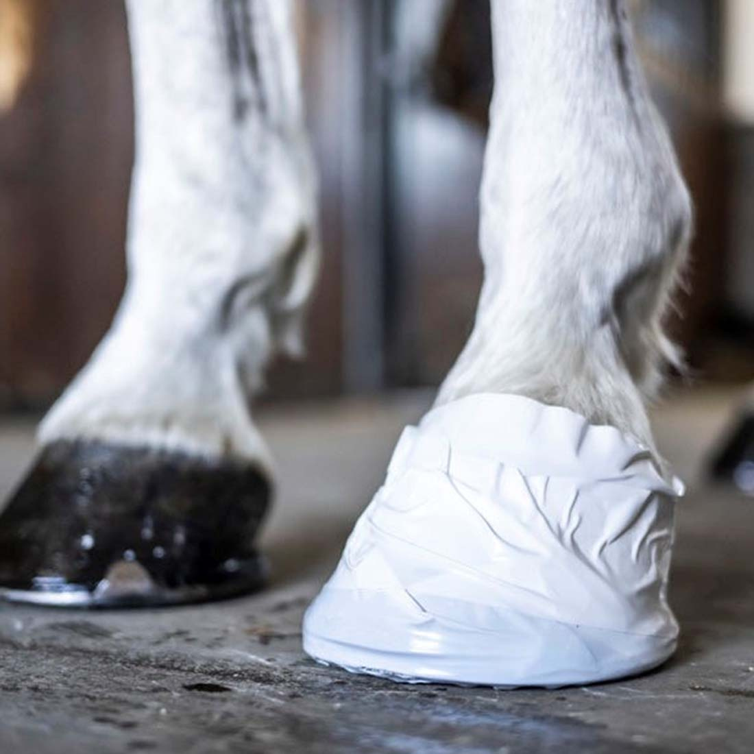 Huf- & Veterinärband Weiß