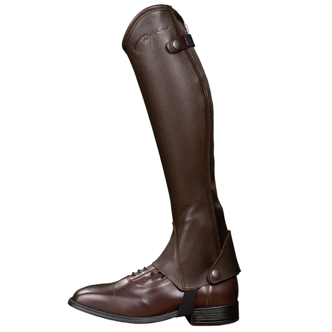 Chaps Classic Braun