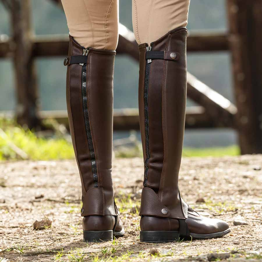 Chaps Classic Braun