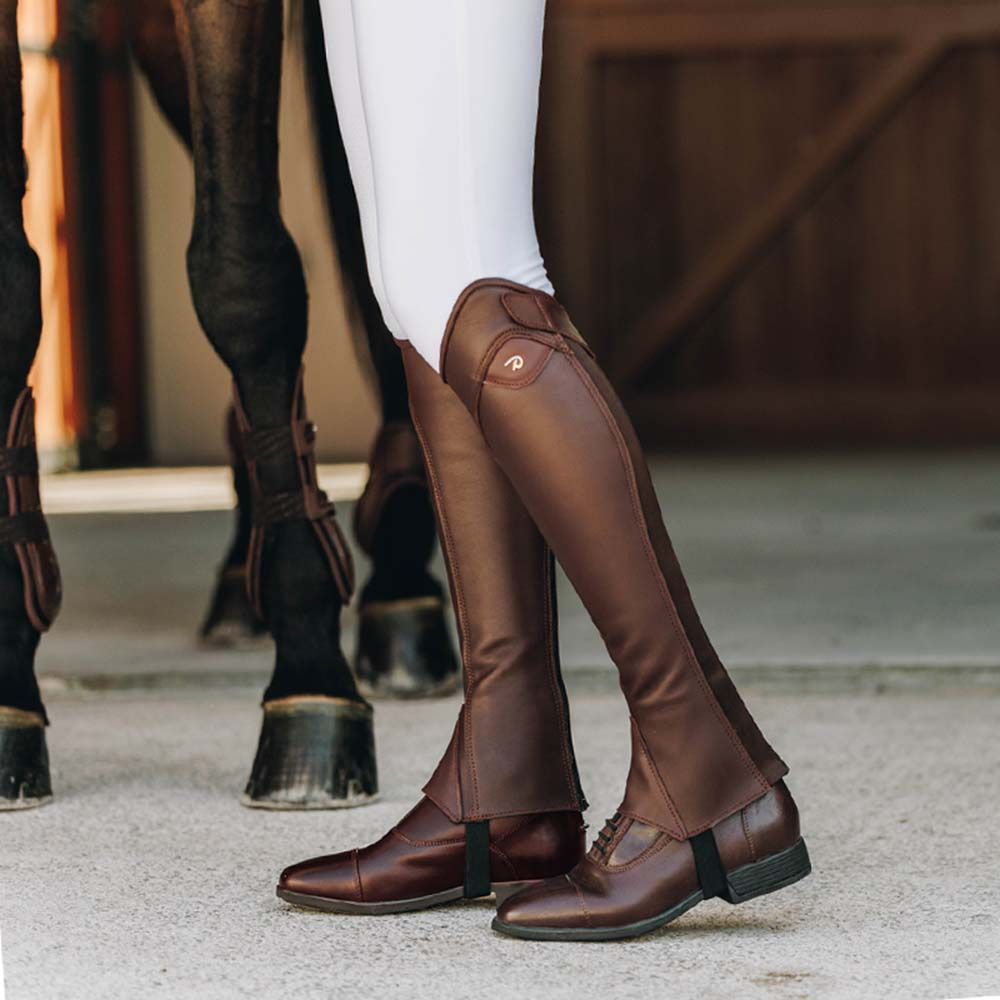 Chaps Classic Show Braun