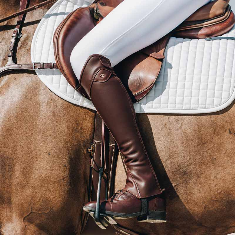 Chaps Classic Show Braun