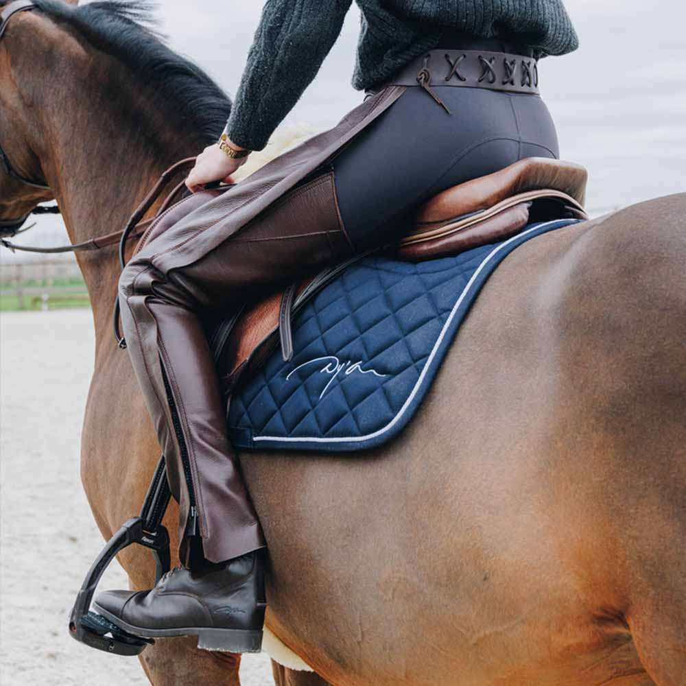 Chaps Leather Braun