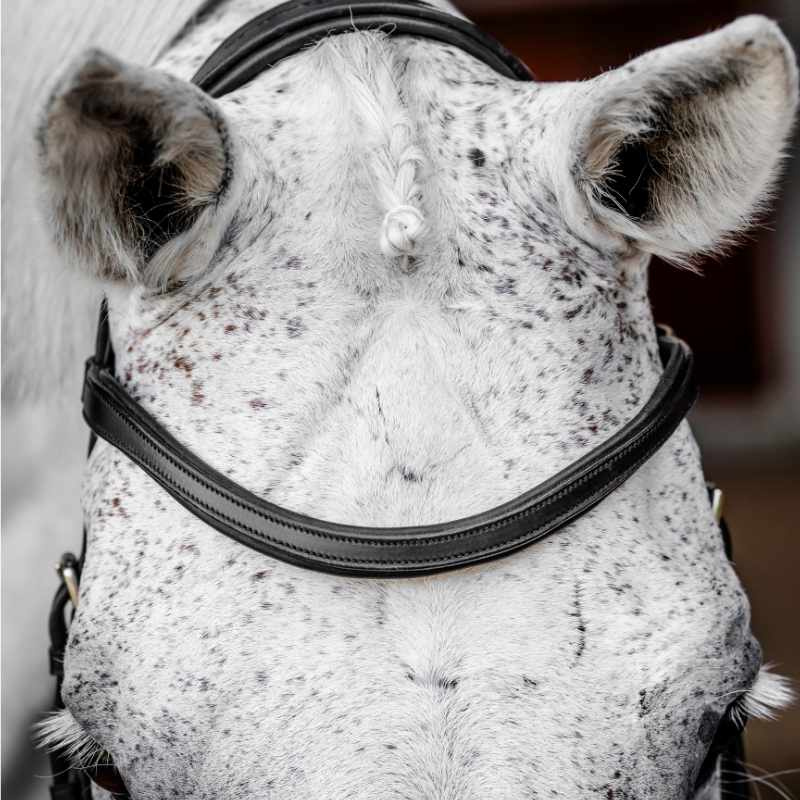 Trense Micklem Competition Schwarz