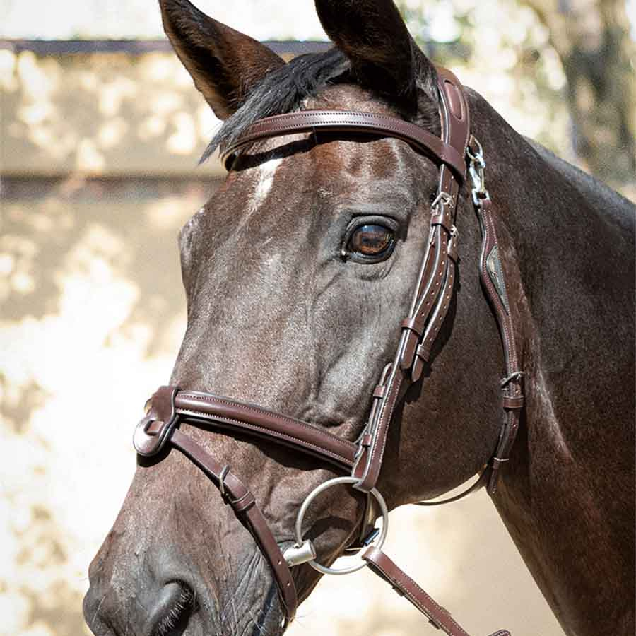 Trense Ready To Ride Braun