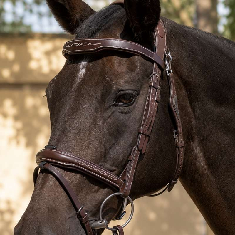 Trense Ready To Ride mit Ziernaht Braun