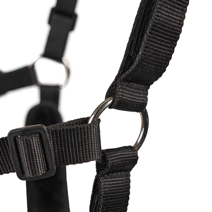 Fressbremse Deluxe Airflow Schwarz
