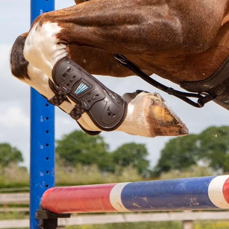 Tendon Boots Carbon Braun