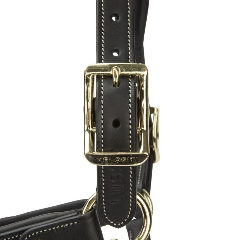 Lederhalfter LUSSO Lorca Schwarz