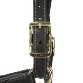 Lederhalfter LUSSO Lorca Schwarz Lederhalfter LUSSO Lorca Schwarz