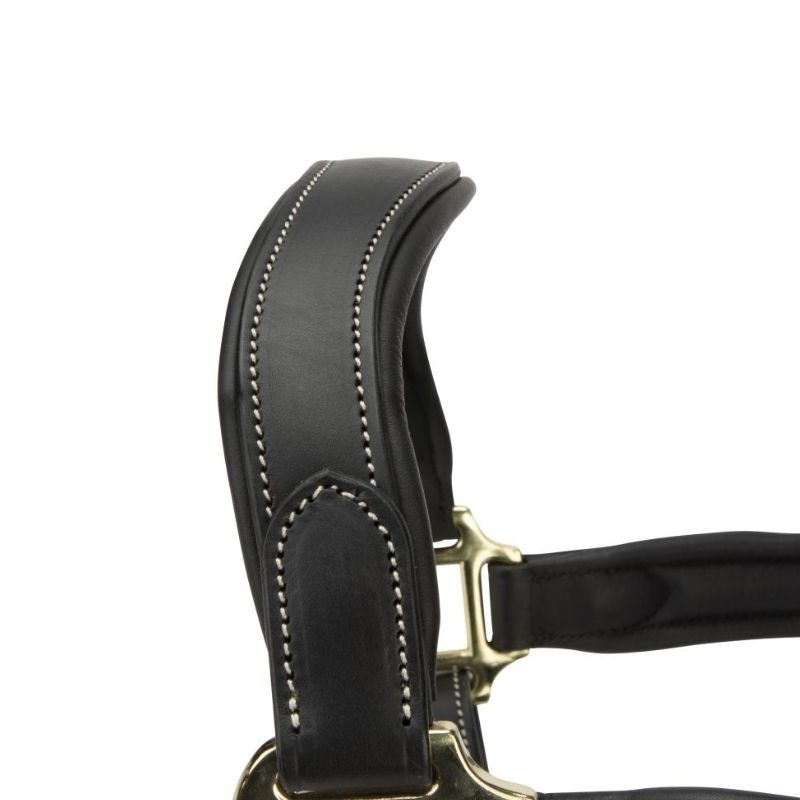 Lederhalfter LUSSO Lorca Schwarz
