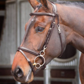 Trense Quick Release Rapida Braun Trense Quick Release Rapida Braun