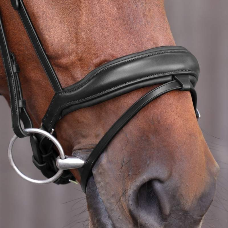 Dressurtrense LUSSO Elite Schwarz