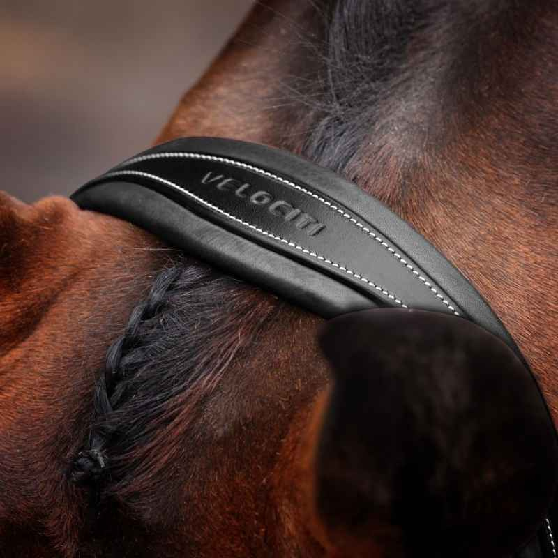 Trense Gepolsterter Nasenriemen LUSSO Opus 180M Schwarz