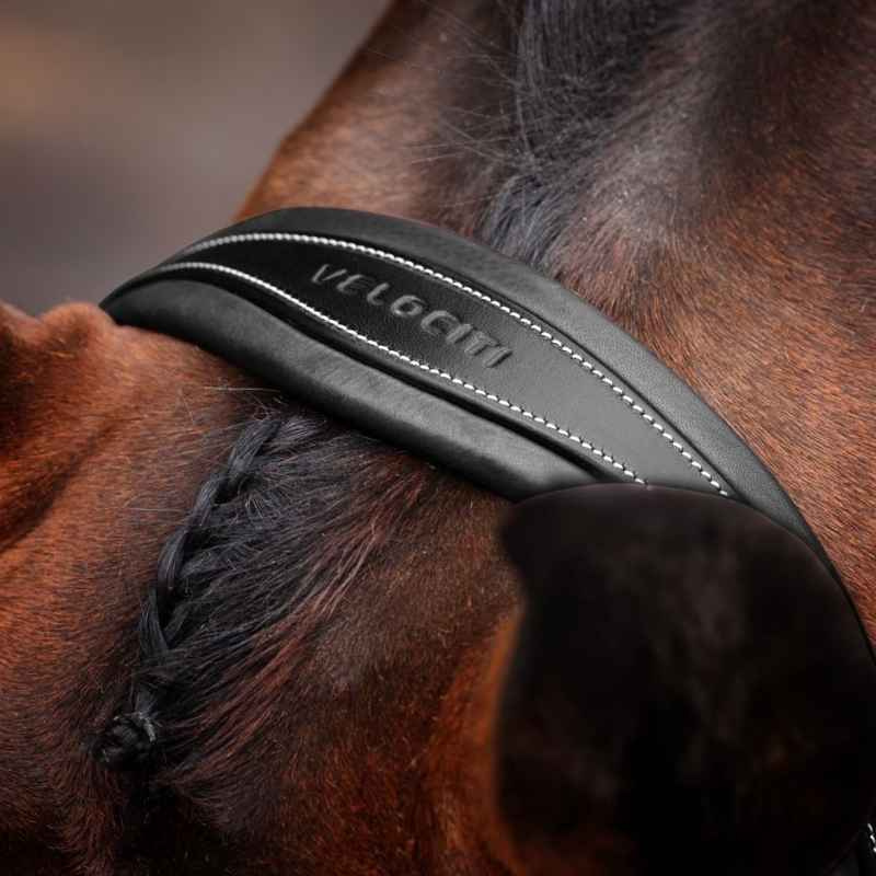 Trense Breites Nasenriemen LUSSO Opus 180M Schwarz