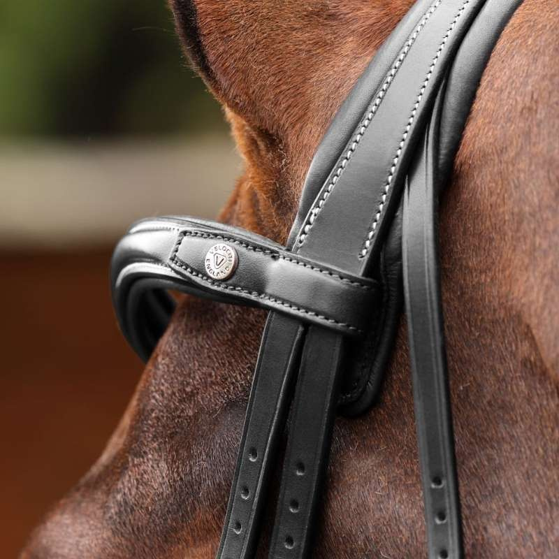 Trense Breites Nasenriemen LUSSO Opus 180M Schwarz