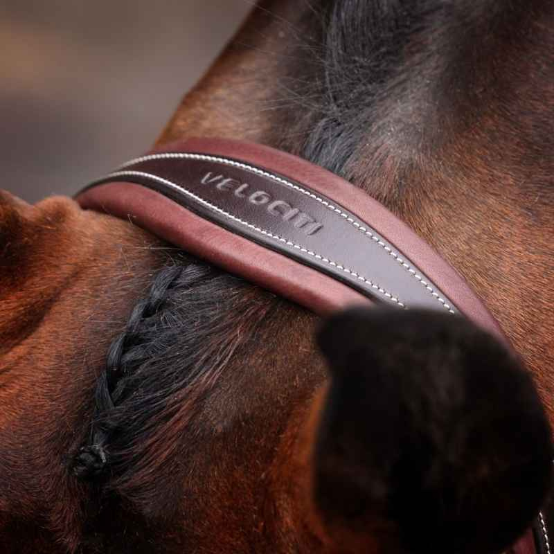 Trense Breites Nasenriemen LUSSO Opus 180M Braun