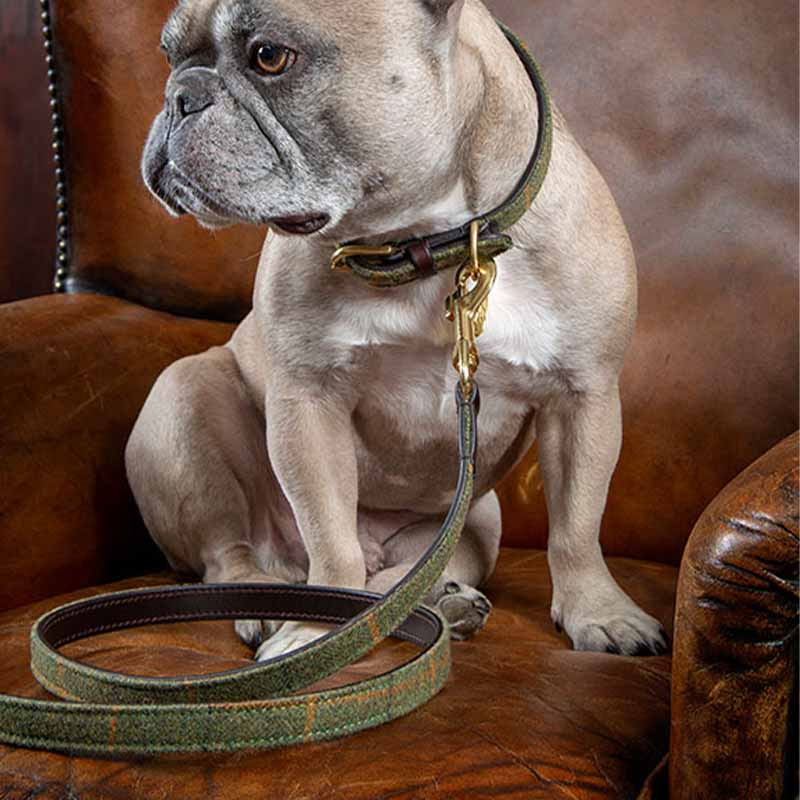 Hundehalsband Tweed/Leder Grün