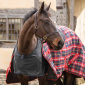 Schulterschutz Satin Schwarz Schulterschutz Satin Schwarz