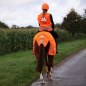 Nierendecke Mesh Reflective Orange Nierendecke Mesh Reflective Orange