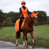 Nierendecke Mesh Reflective Orange Nierendecke Mesh Reflective Orange