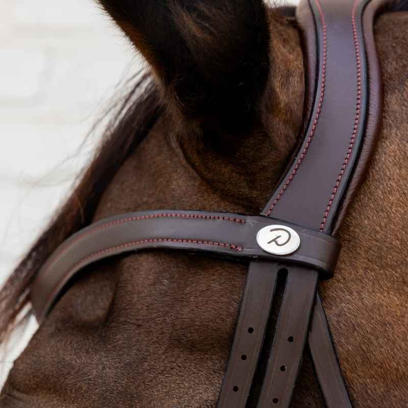 Trense mit kombiniertem Reithalfter Soft Collection Braun