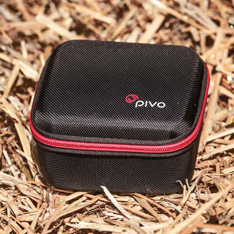 Travel Case Mini für Pivo Pod Schwarz