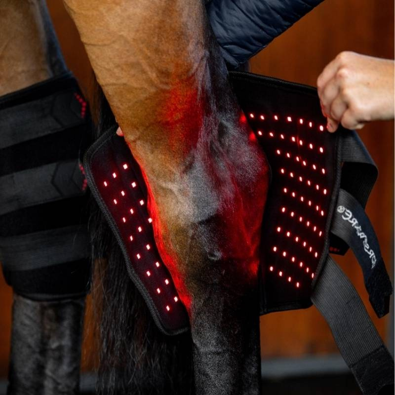 Therapie-Gamaschen Sprunggelenk LED Red Light Therapy 