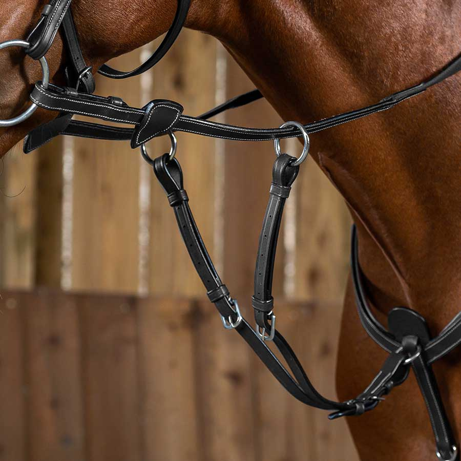 Kurze Martingal WC Braun Pony