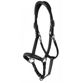 Lederhalfter 2-in-1 WC Schwarz Lederhalfter 2-in-1 WC Schwarz