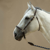 Pflegehalfter Leather WBD Braun Pflegehalfter Leather WBD Braun