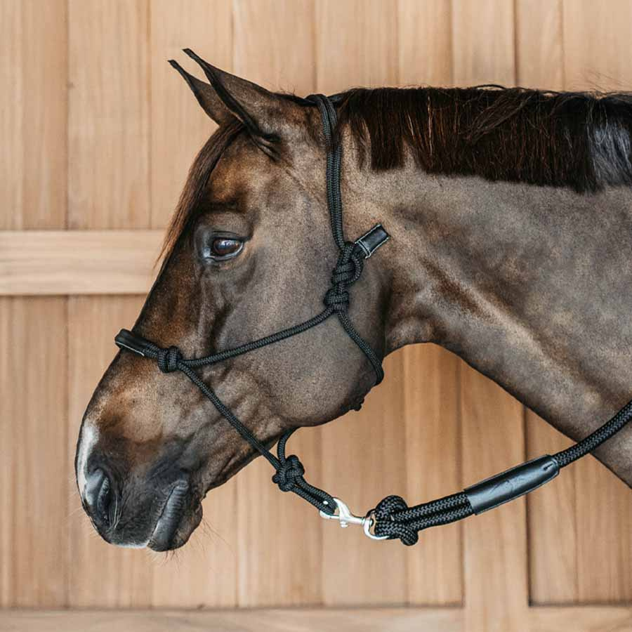 Seilhalfter Training WBD Schwarz