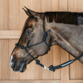 Seilhalfter Training WBD Schwarz Seilhalfter Training WBD Schwarz