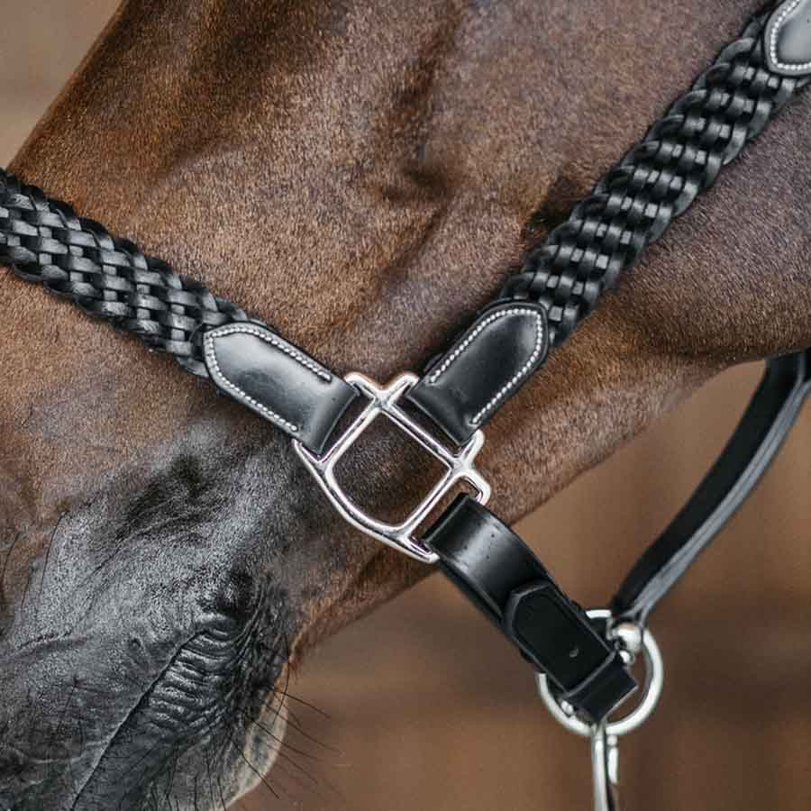 Lederhalfter Plaited WBD Schwarz