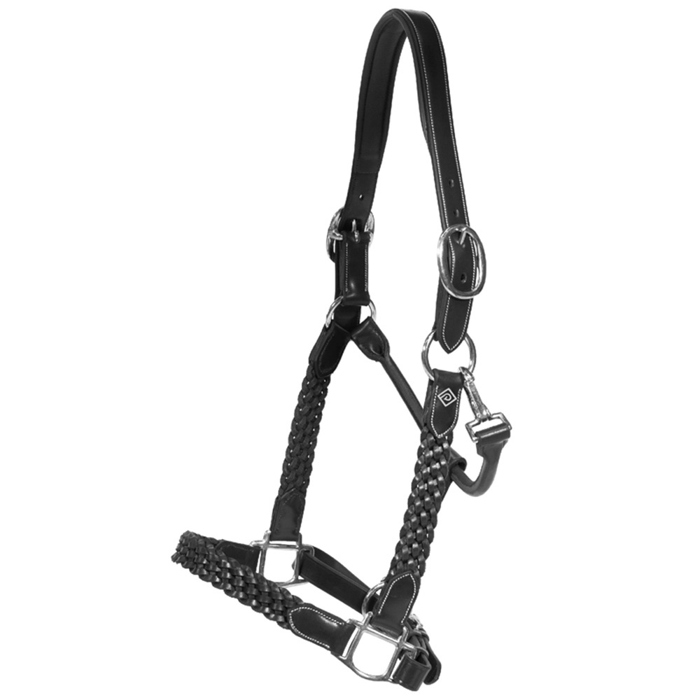 Lederhalfter Plaited WBD Schwarz
