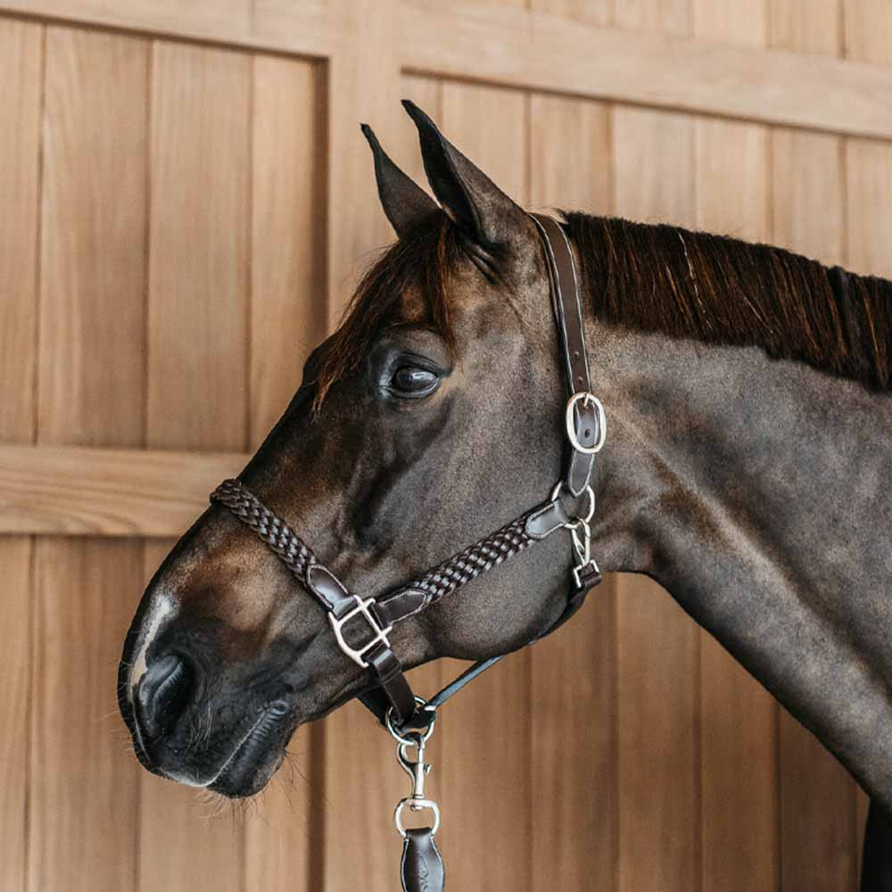 Lederhalfter Plaited WBD Braun